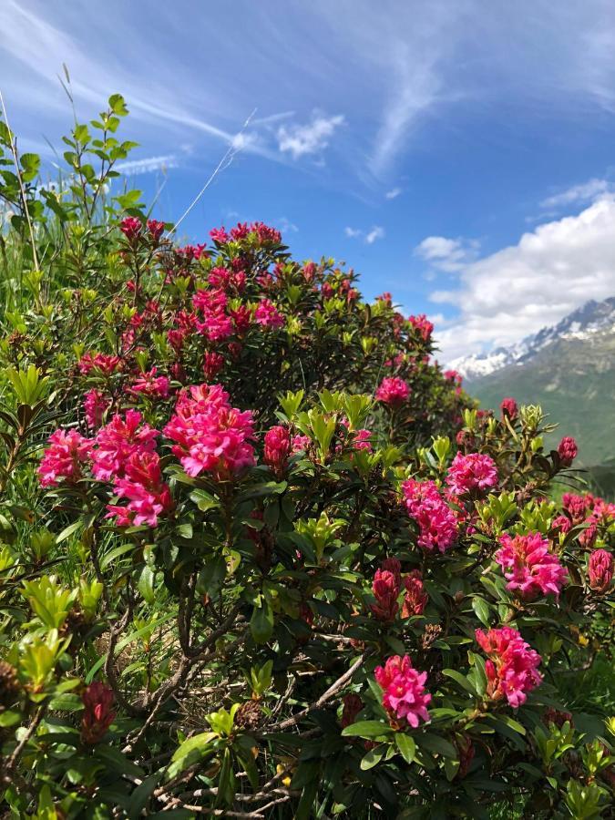 Privatzimmer / Bed & Breakfast Andermatt Exterior photo